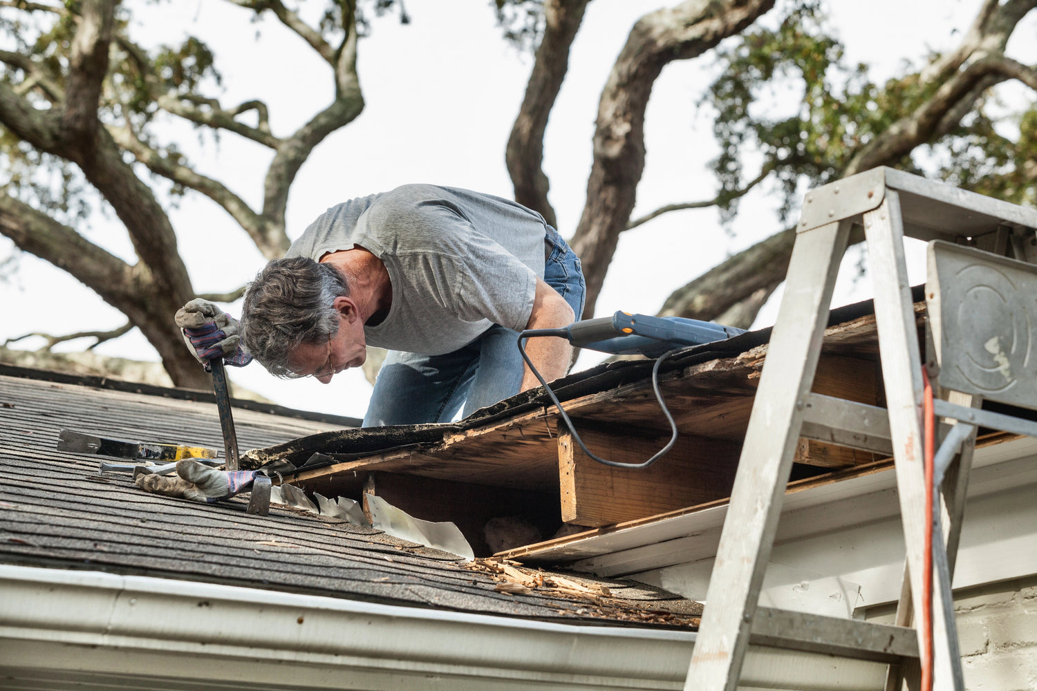 Fall Roof Maintenance in Utah: Protecting Your Home for the Seasons Ahead